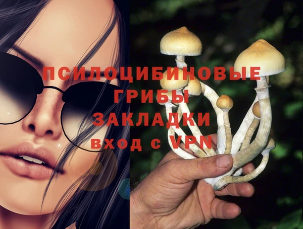 mix Алексин