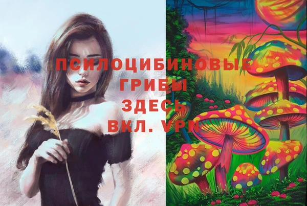 винт Алзамай