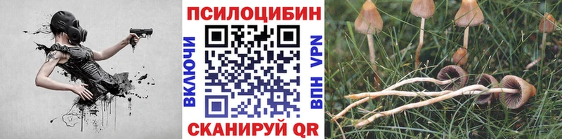 Псилоцибиновые грибы прущие грибы  Темников 