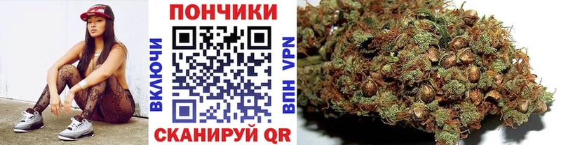 Конопля семена  купить наркотик  Темников 